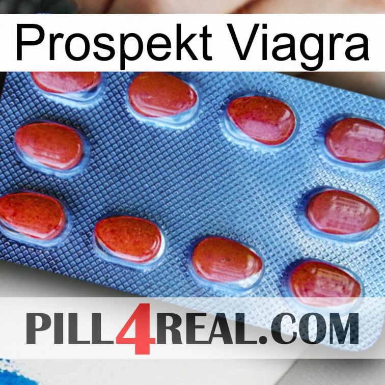 Prospecto Viagra 06